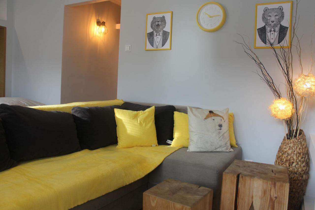 Apartament Bialy Mis Centrum زاكوباني المظهر الخارجي الصورة